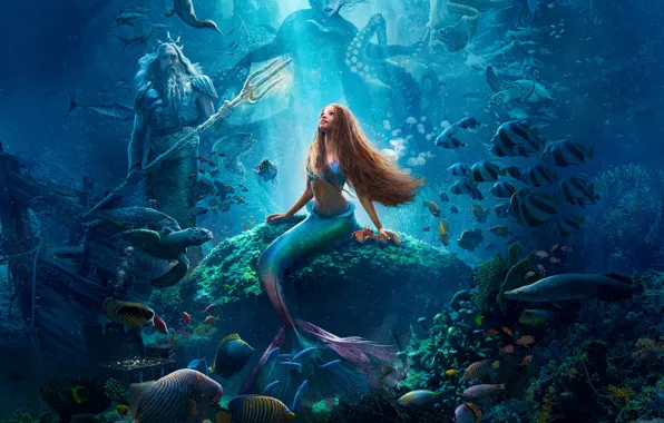 Picture USA, Fantasy, Disney, Ariel, Javier Bardem, Javier Bardem, Underwater world, The little mermaid