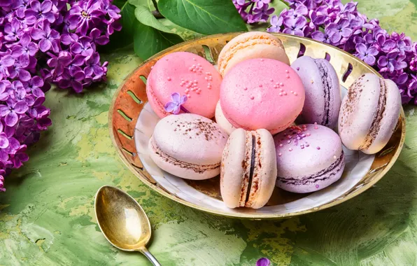 Picture flowers, flowers, lilac, macaroons, macaron, lilac, macaroon
