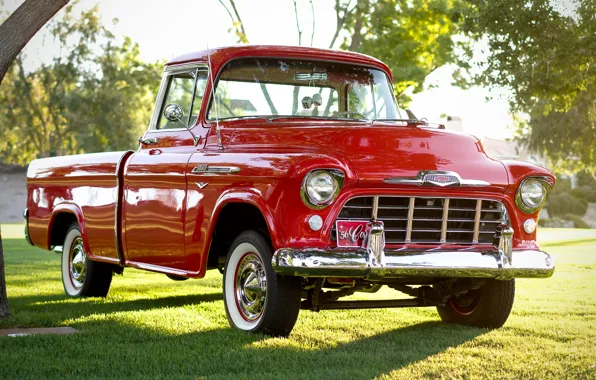 Chevrolet, classic, Chevy, the front, 1956, 3100