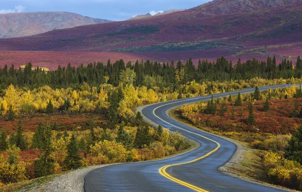 Road, autumn, forest, trees, Alaska
