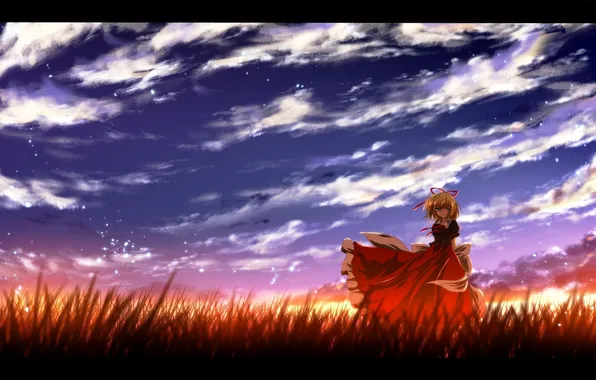 Picture field, grass, girl, sunset, art, touhou, nekominase, medicine melancholy