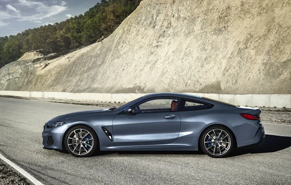 Coupe, BMW, profile, Coupe, 2018, gray-blue, 8-Series, pale blue