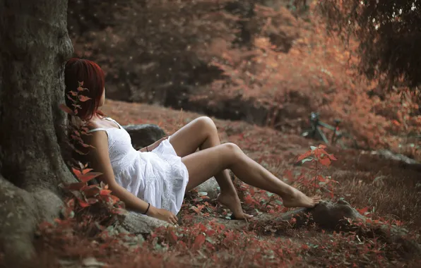 Picture autumn, leaves, girl, trees, pose, foliage, red