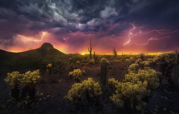 The storm, clouds, hills, desert, cacti