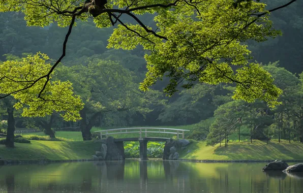 Tokyo, Japan, the bridge, city Park