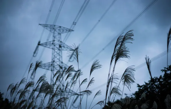 Picture the sky, grass, power lines