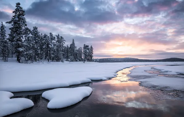 Picture winter, river, morning