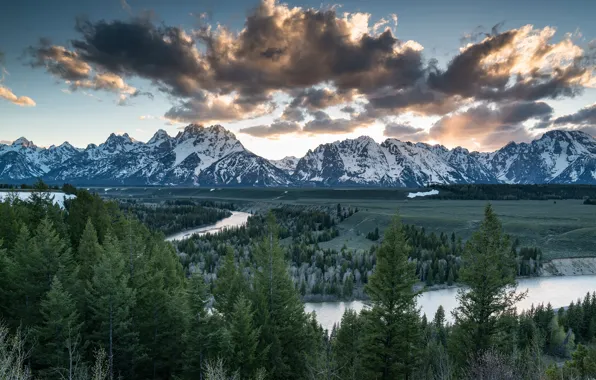 Forest, the sky, clouds, light, trees, landscape, mountains, clouds