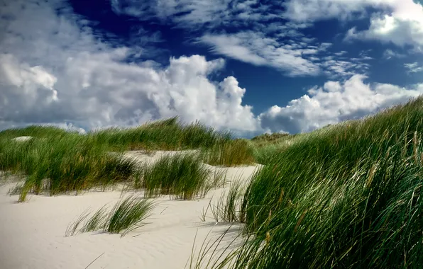 Picture sand, grass, clouds, dune