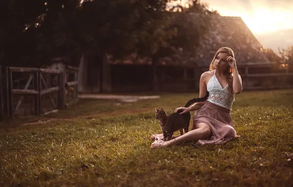 Field, cat, summer, grass, cat, girl, light, sunset