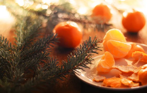Light, branches, table, mood, holiday, Board, food, blur