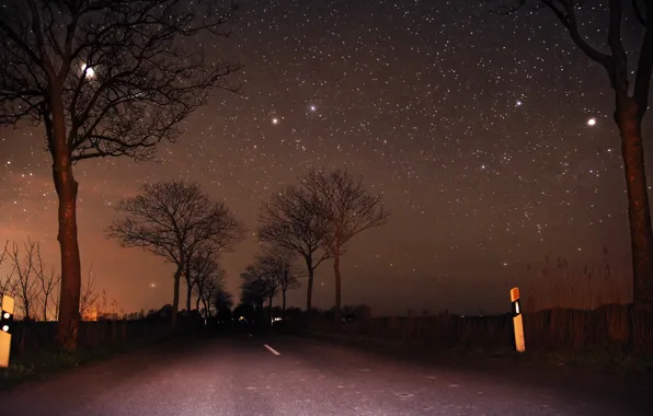 Road, the sky, trees, the moon, stars, Night, moon, road