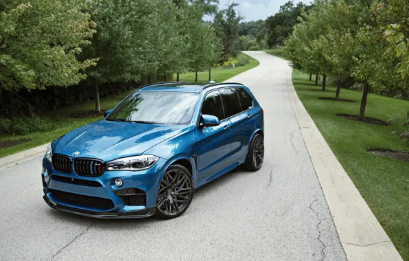 BMW, Blue, Car, IND, Metallic, 2015-16, X5, M