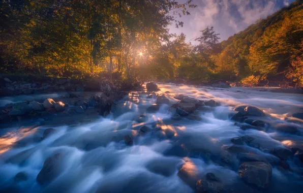 Picture autumn, trees, mountains, river, stones
