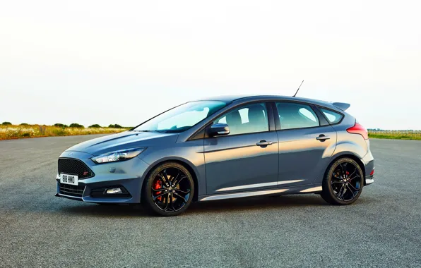 Ford, focus, Focus, Ford, 2014