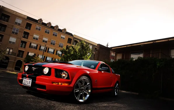 Picture red, Mustang, Ford, Mustang, red, muscle car, Ford, racing stripes