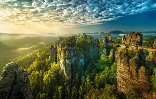 Picture forest, trees, bridge, nature, rocks