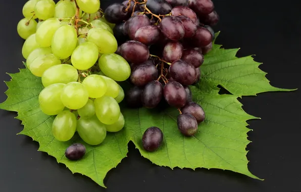 Picture leaves, grapes, bunches