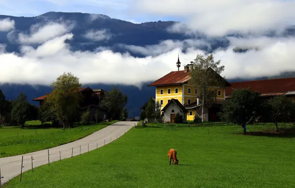 Road, field, forest, clouds, trees, mountains, fog, house