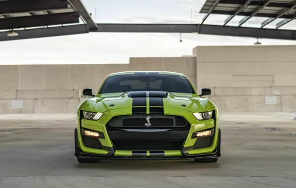 Mustang, Ford, GT500, Green, Front, Face, Roof