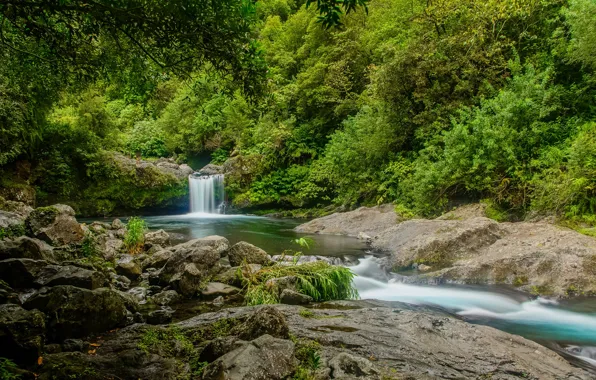 Greens, forest, trees, stream, stones, France, waterfall, Reunion