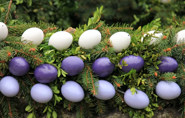 Picture leaves, branches, holiday, eggs, spruce, Easter, garland, needles