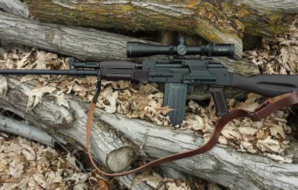 Picture weapons, optics, carabiner, self-loading, smoothbore, Vepr-12