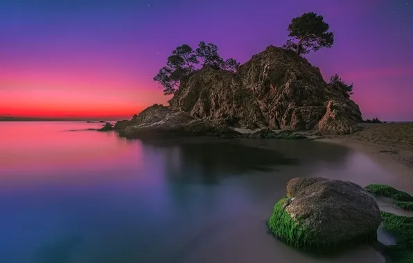 Picture beach, trees, landscape, sunset, rock, the ocean, stone, island
