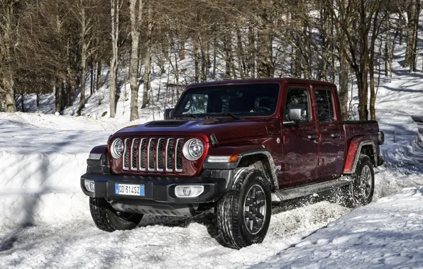 Snow, Jeep, Pickup, Gladiator, Jeep, 2021, 80th Anniversary
