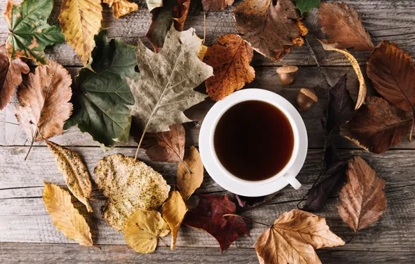 Autumn, leaves, coffee, Cup, wood, autumn, leaves, cup