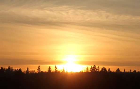 Sunset, Nature, Beauty, Suite, Luxury, Ultimate, Chic, Unreal