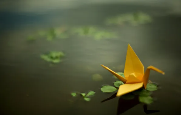 Pond, crane, origami