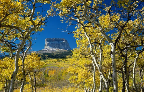 Picture autumn, mountain, Montana