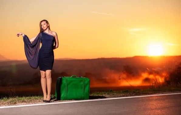 Picture road, girl, suitcase