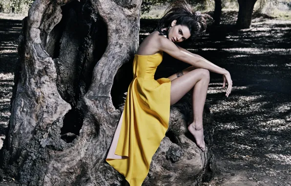 Picture pose, tree, model, sitting, Kendall Jenner, yellow dress