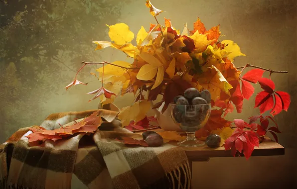 Leaves, branches, berries, scarf, fruit, still life, plum, table