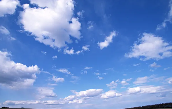 Picture the sky, grass, clouds