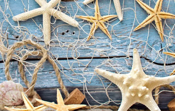 Picture sand, wood, marine, starfish, starfish, net, seashells