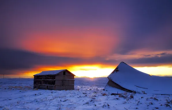 Picture winter, snow, dawn, house