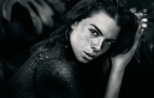 Freckles, sponge, Elena