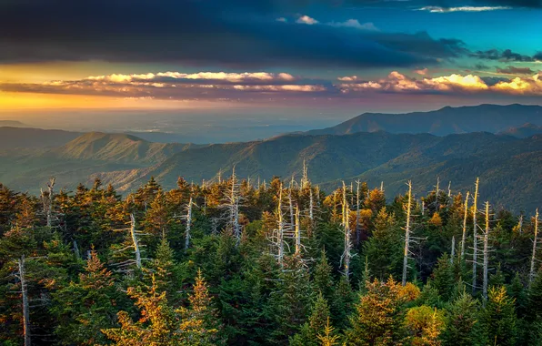 Forest, clouds, trees, mountains, glow, USA, Kentucky