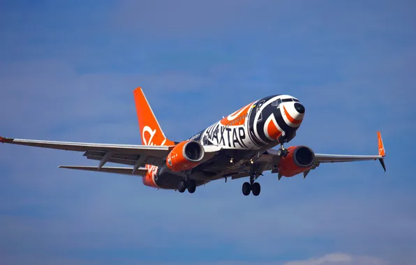 Boeing, Landing, FC Shakhtar Donetsk, FC Shakhtar Donetsk, Boeing 737, Chassis, Boeing 737-700 NG, SkyUp …