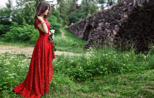 Picture sadness, roses, dress, in red, Maxim Orlovsky