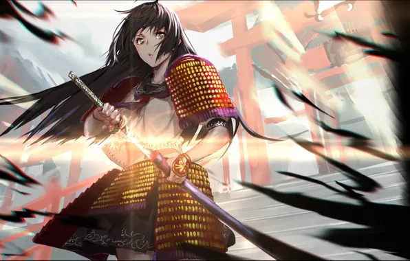 Picture girl, armor, warrior
