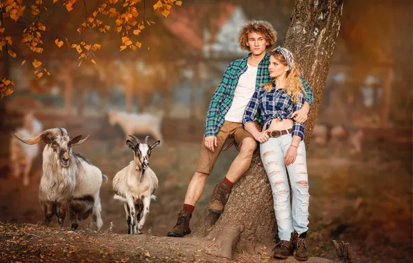 Picture autumn, girl, guy, goat, bokeh, goats, couples, goat