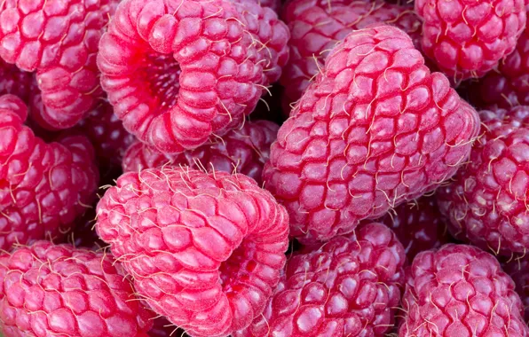 Berries, Raspberry, Placer