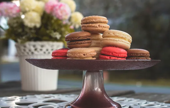 Flowers, cookies, dessert, sweet, dessert, macaron, almond