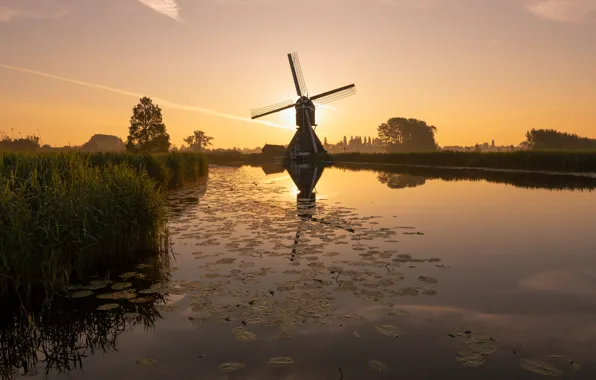 Dawn, morning, mill, channel, Netherlands, South Holland, Overslingeland