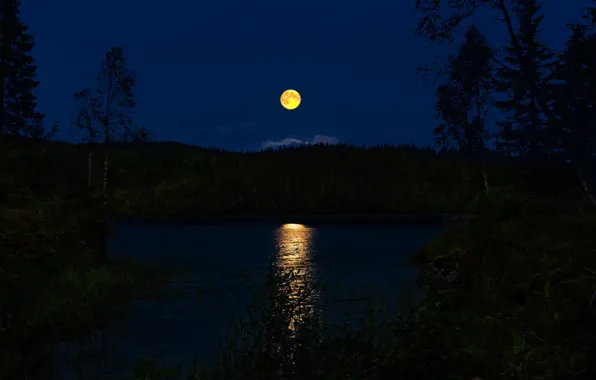 Forest, night, river, Norway, the full moon, moonlight