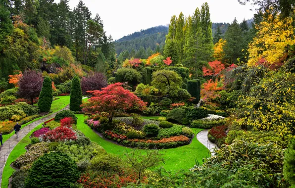 Nature, Park, shrub, landscaping